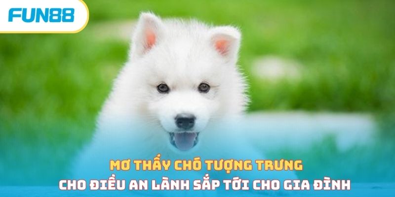 Sổ mơ Fun88 là gì và gợi ý những con số lộc may mắn đỉnh cao Sổ mơ thấy chó