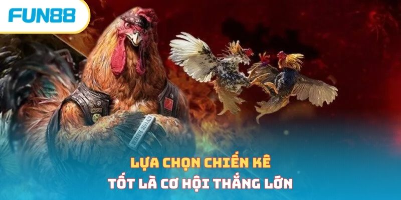 Tổng Hợp 4 Kinh Nghiệm Cược Đá Gà Bất Bại Từ Chuyên Gia Lựa chọn chiến kê tốt là cơ hội thắng lớn